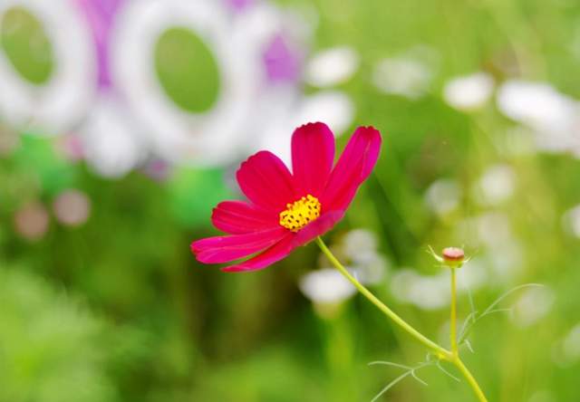 隨禮 ,可以看清一個(gè)人